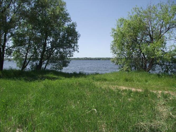 Алина, фото 48