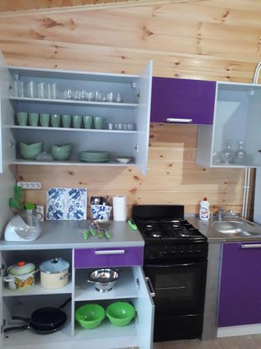 Guesthouse Asilan, фото 91