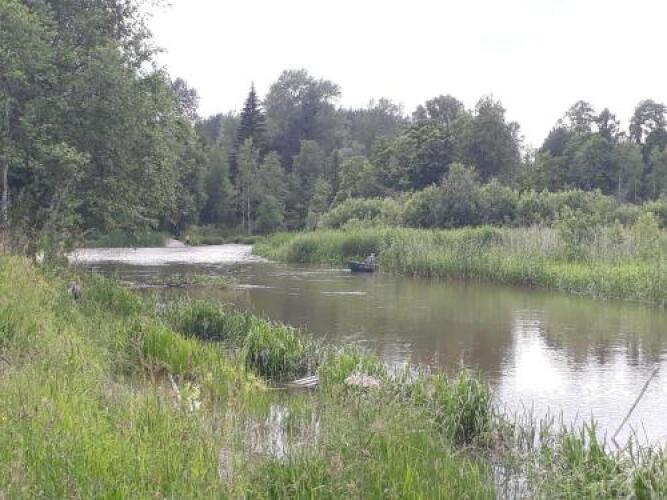 Guesthouse Asilan, фото 93