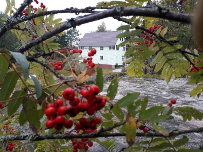 Guesthouse Asilan, фото 97