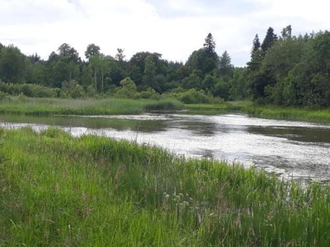 Guesthouse Asilan, фото 99