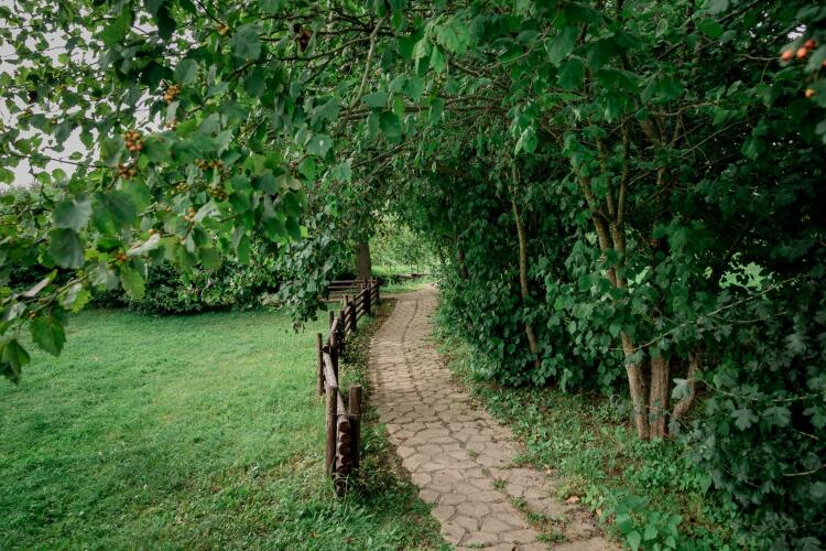 База Отдыха Отрада, фото 66