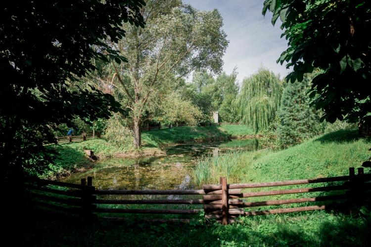 База Отдыха Отрада, фото 79