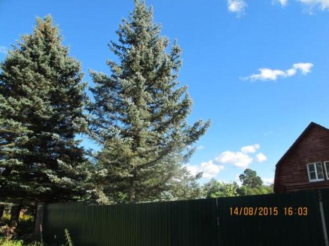 База Отдыха Берлога, фото 68