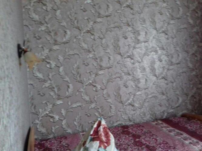 Восход, фото 43