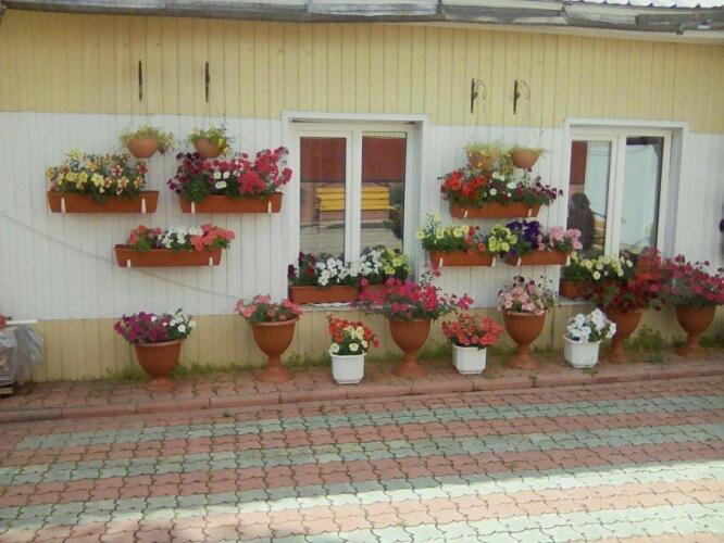 Восход, фото 45