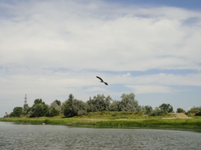 Отель «Компас», фото 157