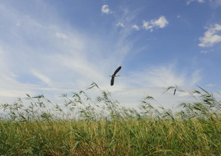 Отель «Компас», фото 158