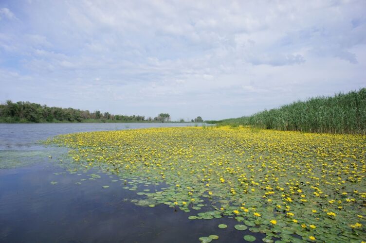 Отель «Компас», фото 160