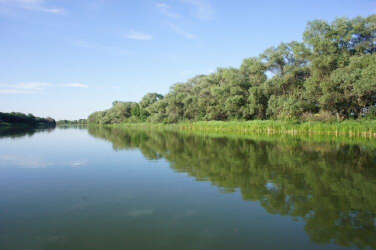 Отель «Компас», фото 162