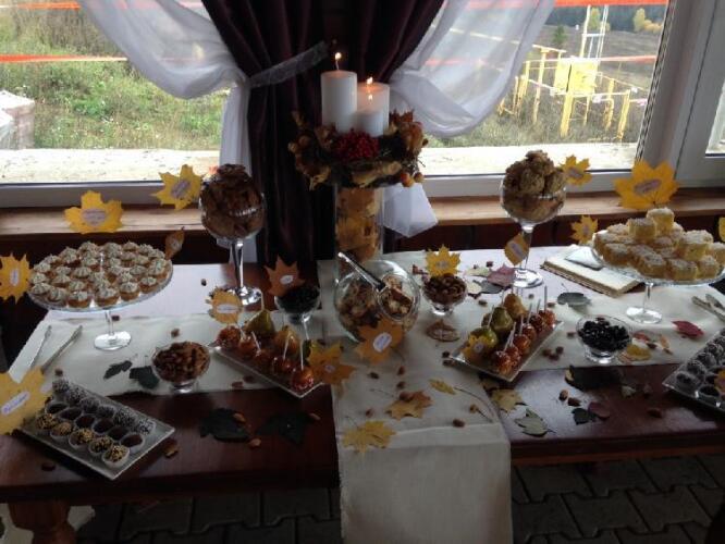 Снегири, фото 57