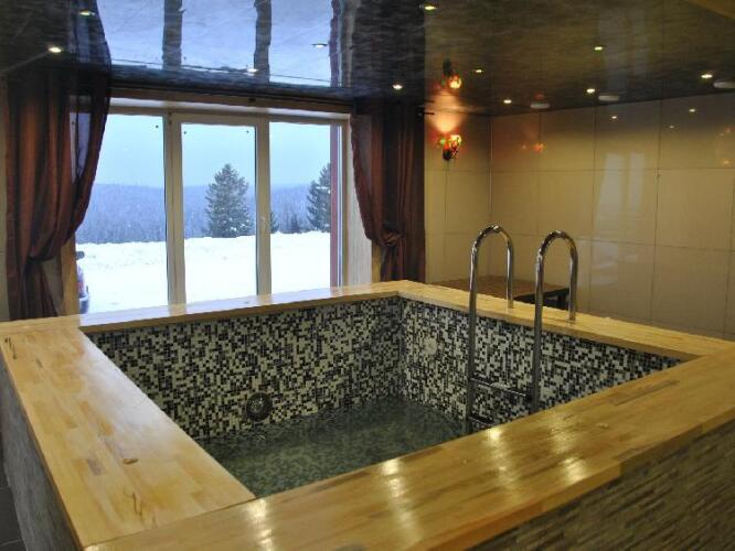 Снегири, фото 63