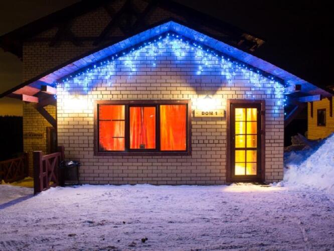 Снегири, фото 68