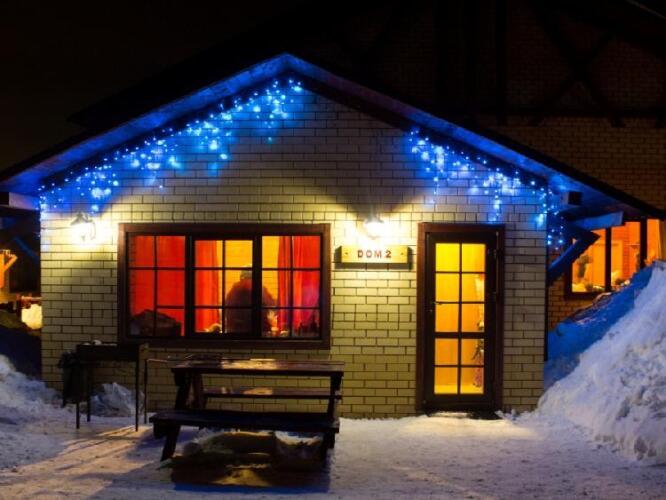 Снегири, фото 69