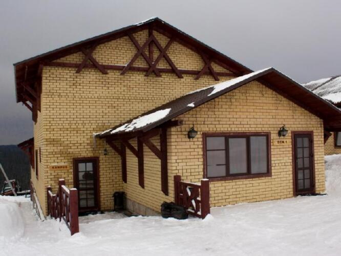 Снегири, фото 70