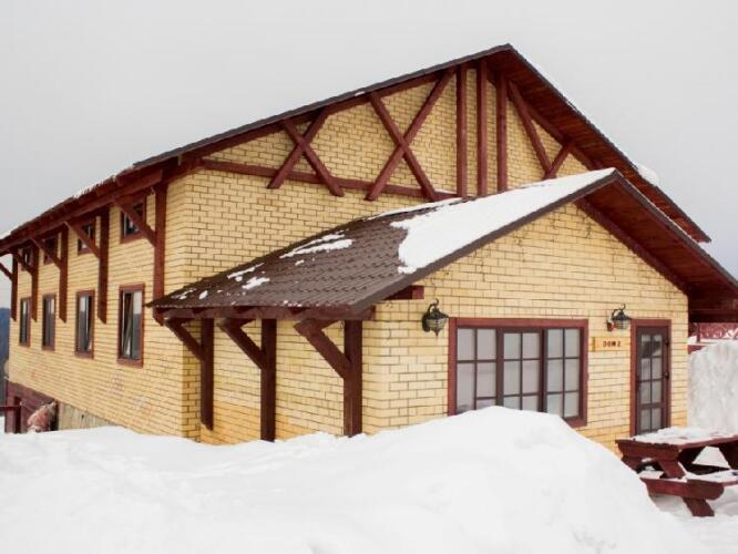 Снегири, фото 71