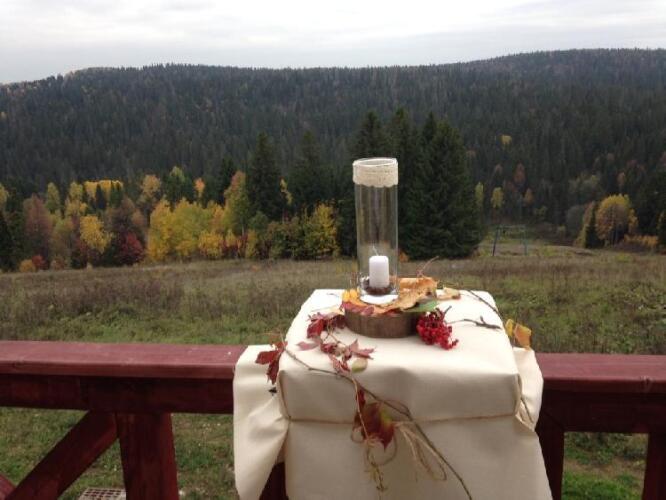 Снегири, фото 72