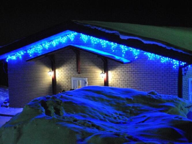 Снегири, фото 76