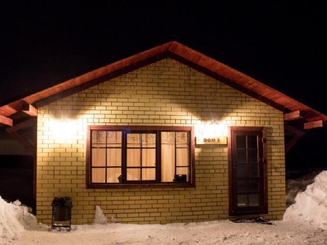 Снегири, фото 78