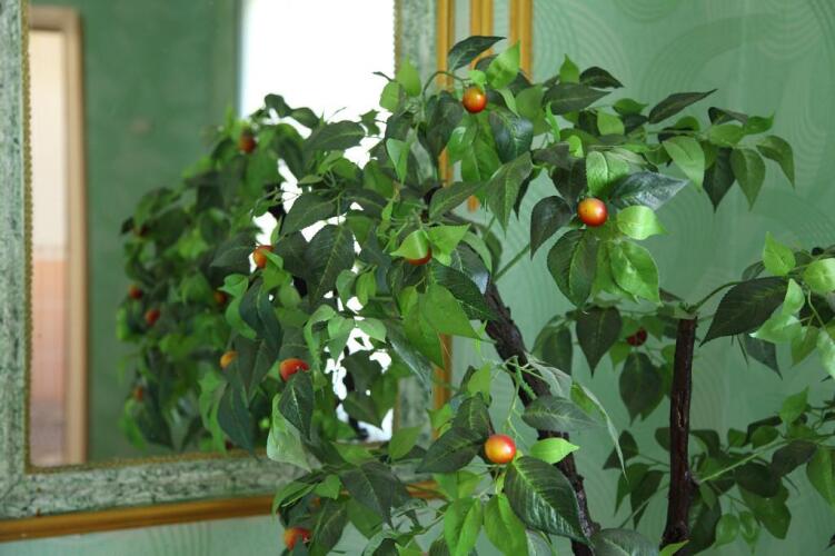 ВикторИС, фото 19