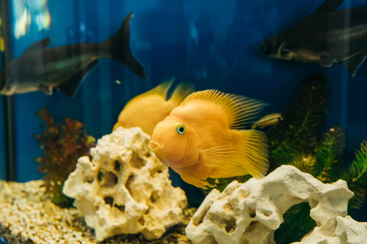 Гостиница Дом рыбака, фото 46