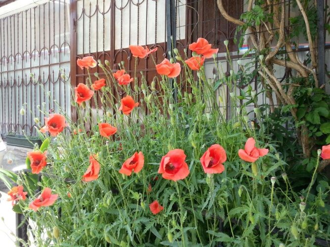 Studio Tamanskaya 68, фото 35