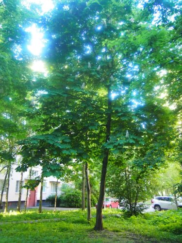 Apartments on ulitsa Vavilovykh, фото 26
