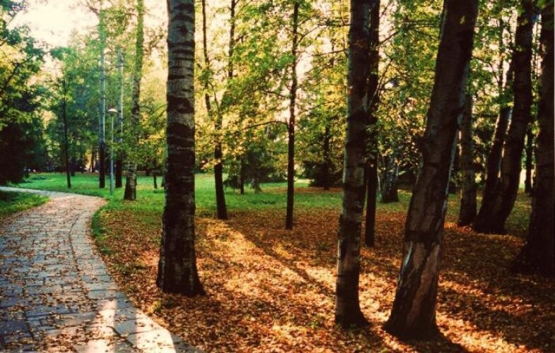 Ecohotel Vysotka, фото 48