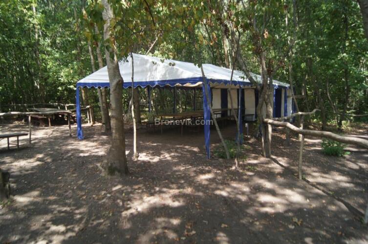 Дубрава, фото 43