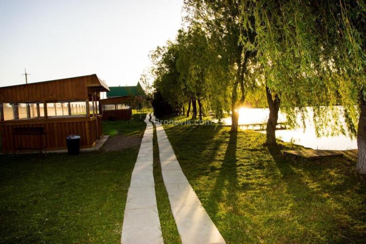 Дубрава, фото 48