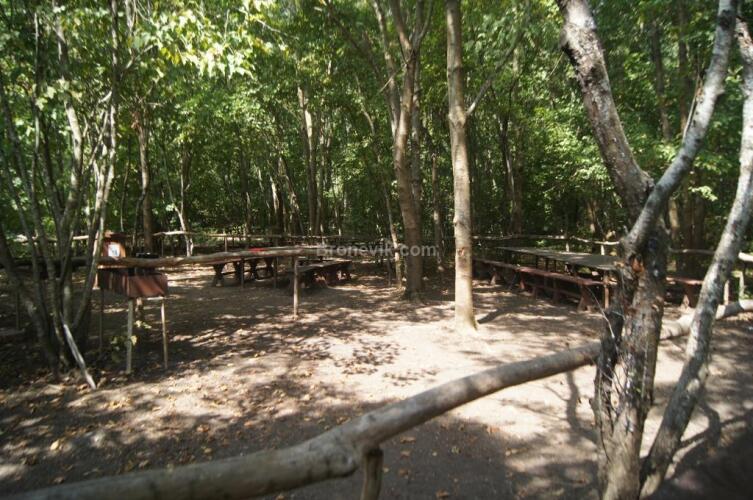 Дубрава, фото 49