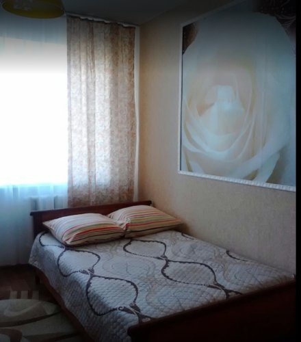 Берёзка, фото 20