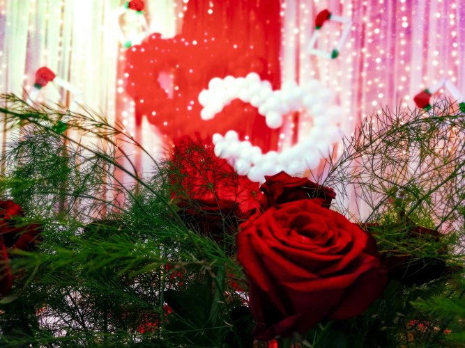 Fitness park-otel, фото 46