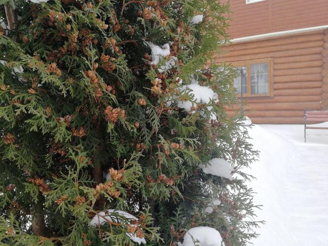 Fitness park-otel, фото 63