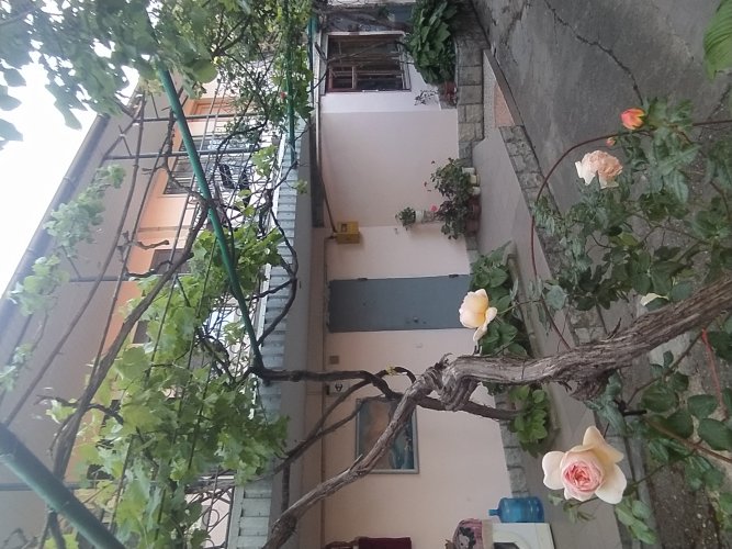 Гостевой дом Celica, фото 14