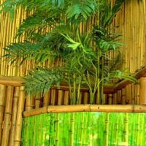 Гостевой дом Bamboo, фото 116