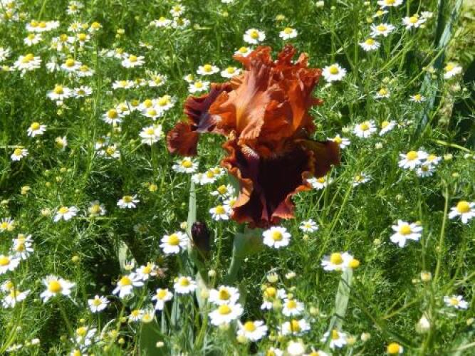 Gostevoy Dom Anastasiya, фото 47