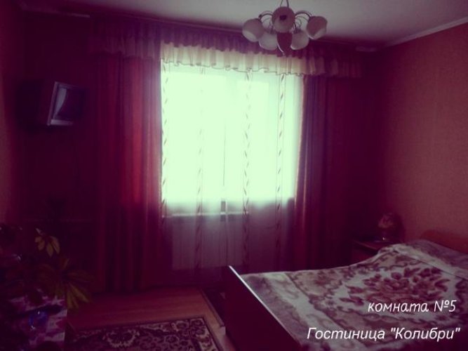 Колибри, фото 29