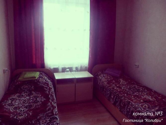 Колибри, фото 38