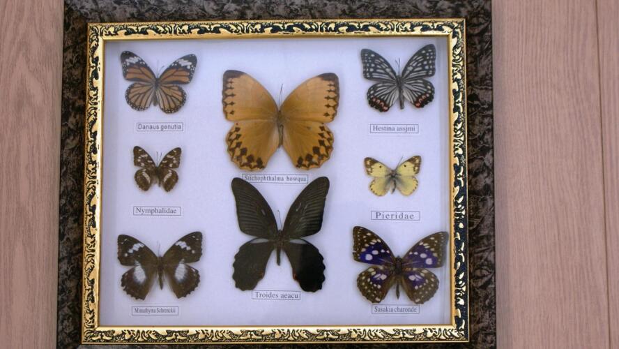 Уют на Центральной, фото 23