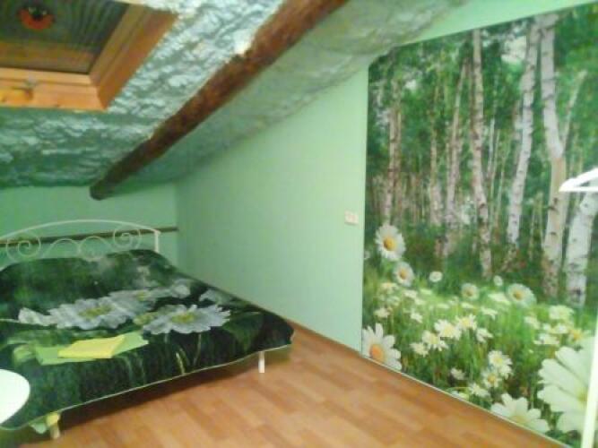 Hostel Green House, фото 81