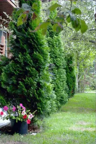 Турбаза Лагуна, фото 109