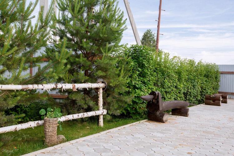 Белый Берег, фото 75