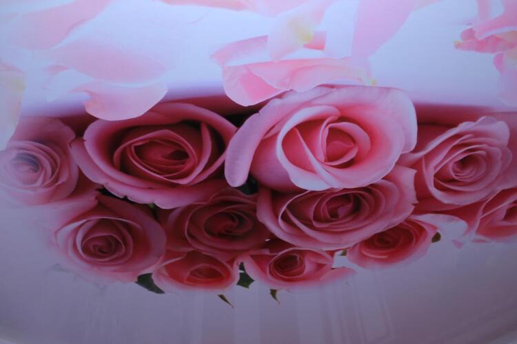 Hotel Restaurant Rouz, фото 85