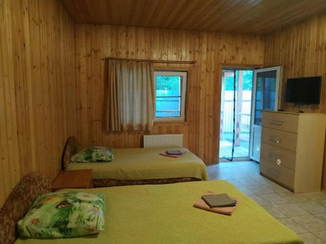 Мичуринский дворик, фото 36