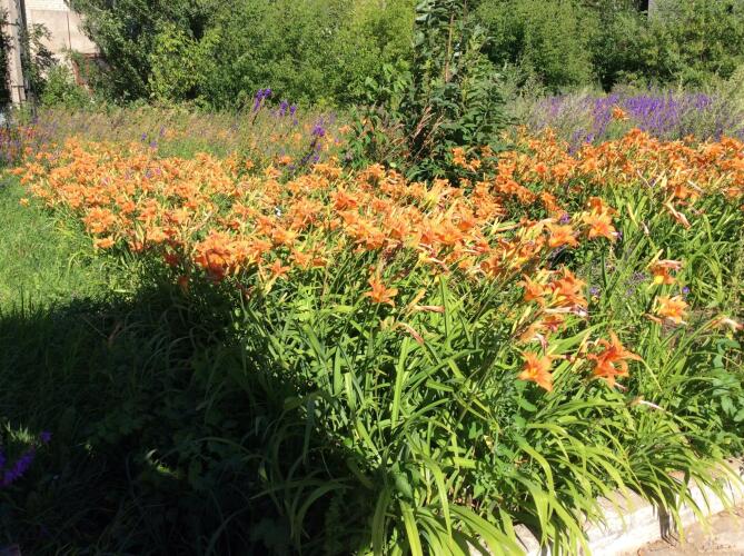 Кама, фото 41