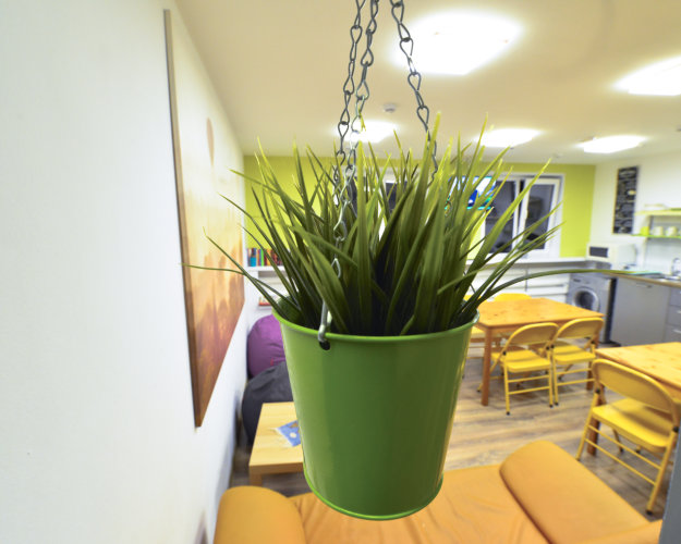 Отель City House, фото 37