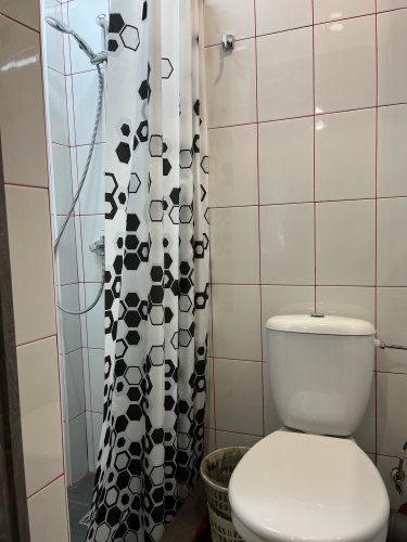 Отель Hotel Moonlight, фото 101