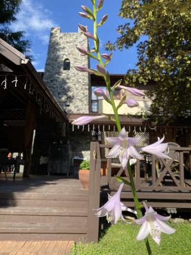 Гостинично-Ресторанный комплекс Ветерок, фото 54