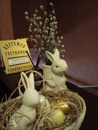 Отель Бестужев, фото 26